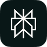 Perplexity icon