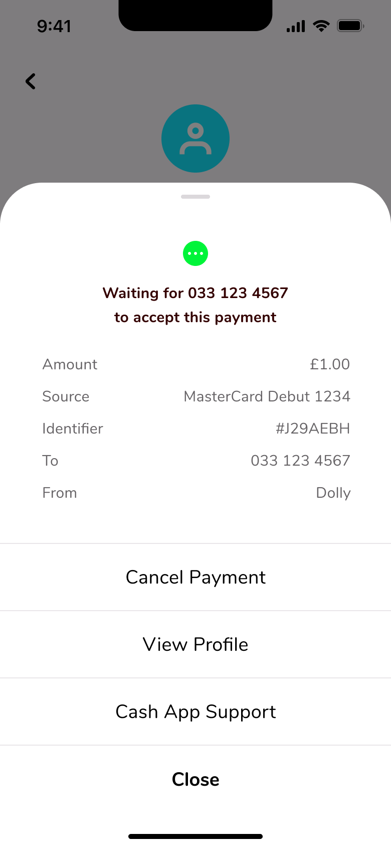 Waiting for acceptance sheet: payment details, cancel payment, view profile and support.