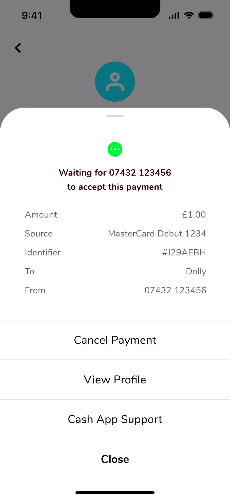 Payment detail sheet with cancel, view profile, support and close.