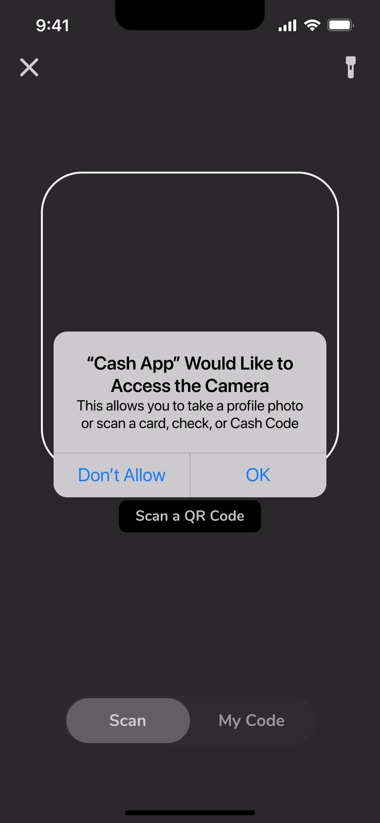 Camera access system alert on the QR scanner.