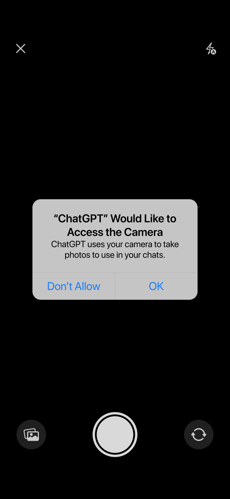 Camera access system alert in chat camera.