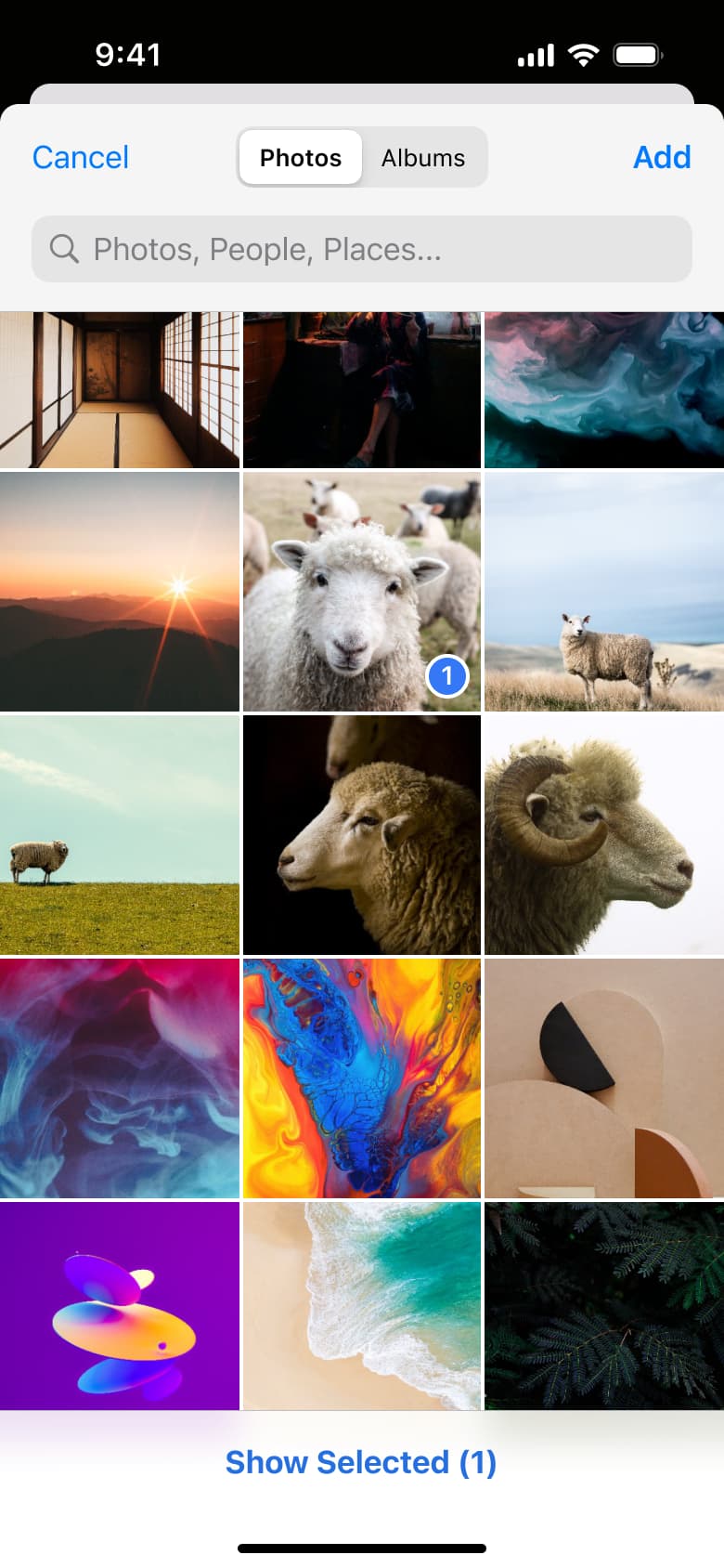 Photo picker with one selected.