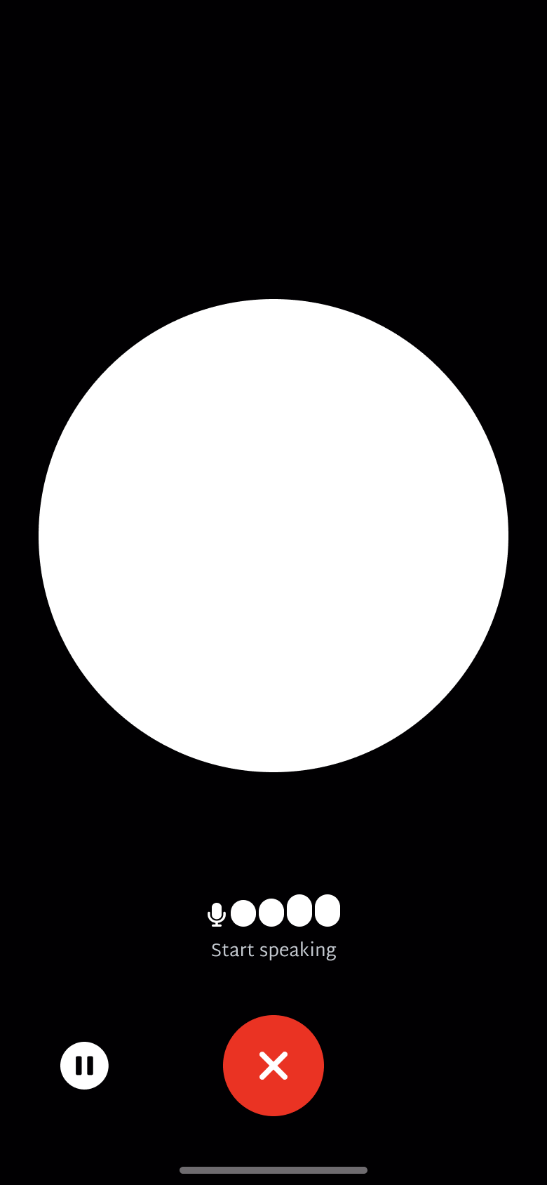 Voice mode paused grey circle.