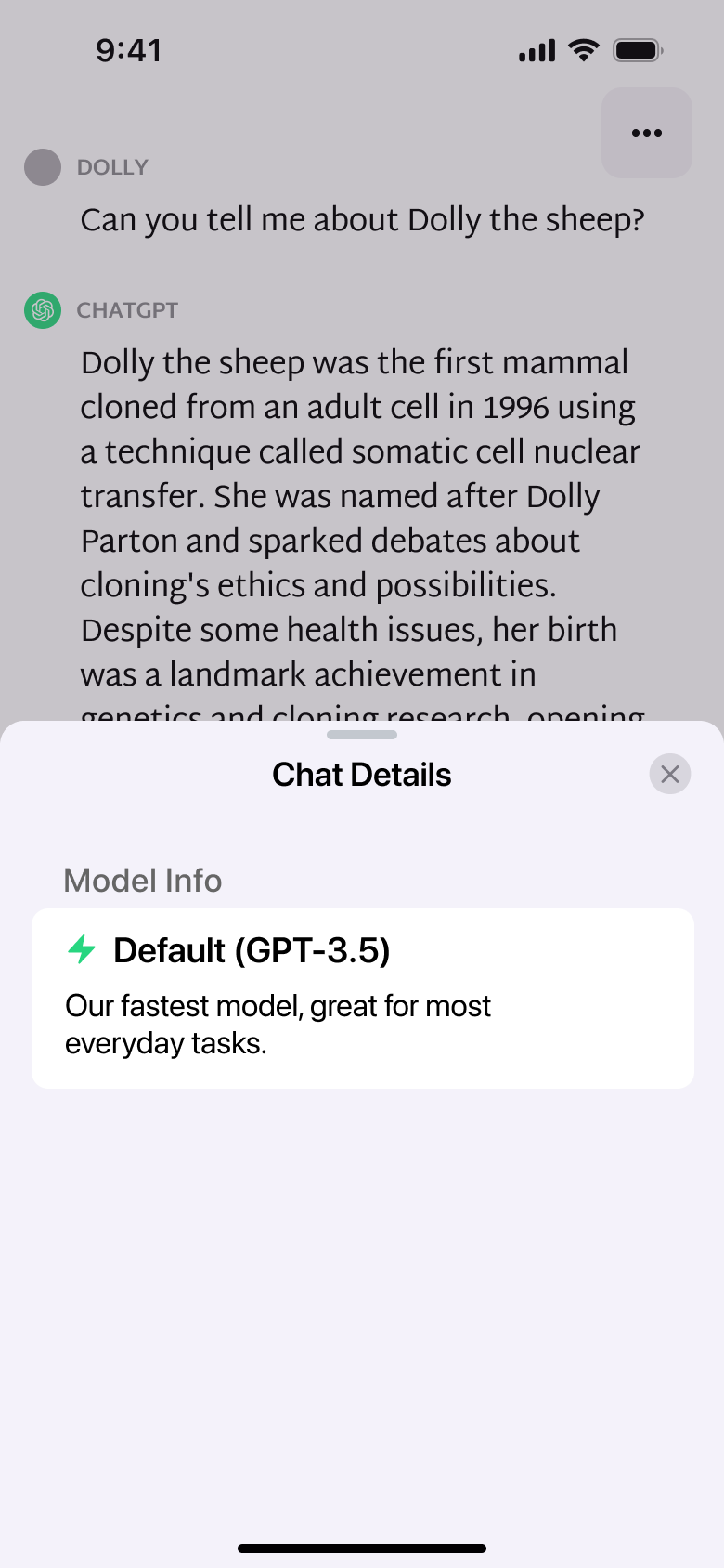 Chat details sheet: model info.