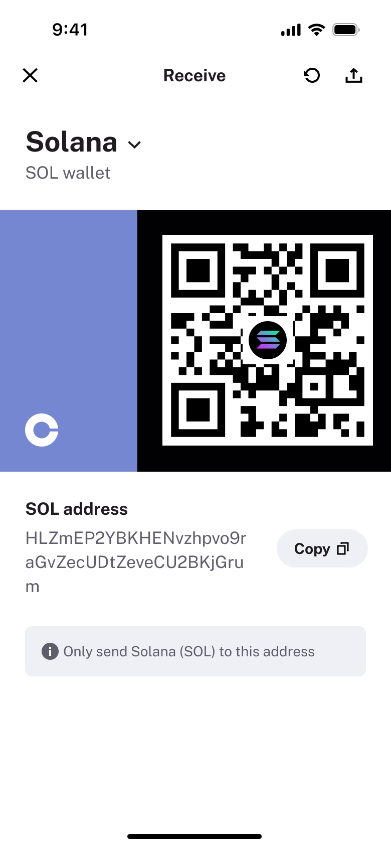 Receive crypto: QR code and wallet address with copy.
