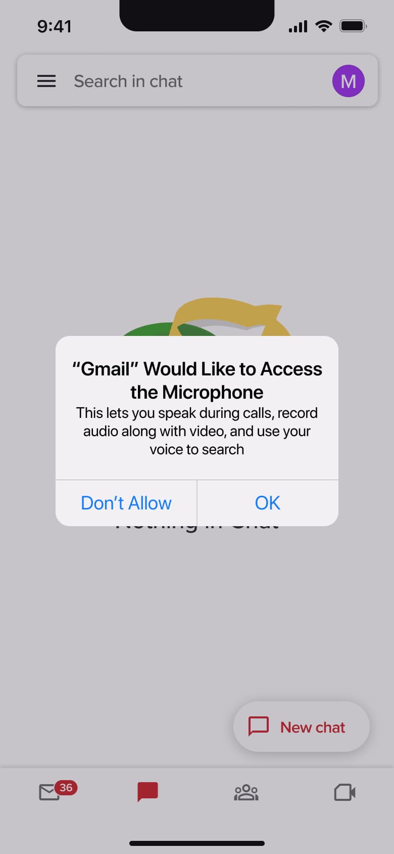 Microphone access alert over empty chat.