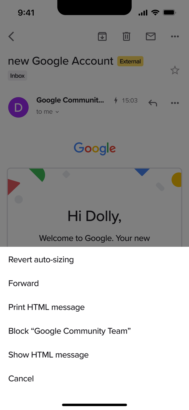 Email more actions: auto-sizing, forward, print, block and show HTML.