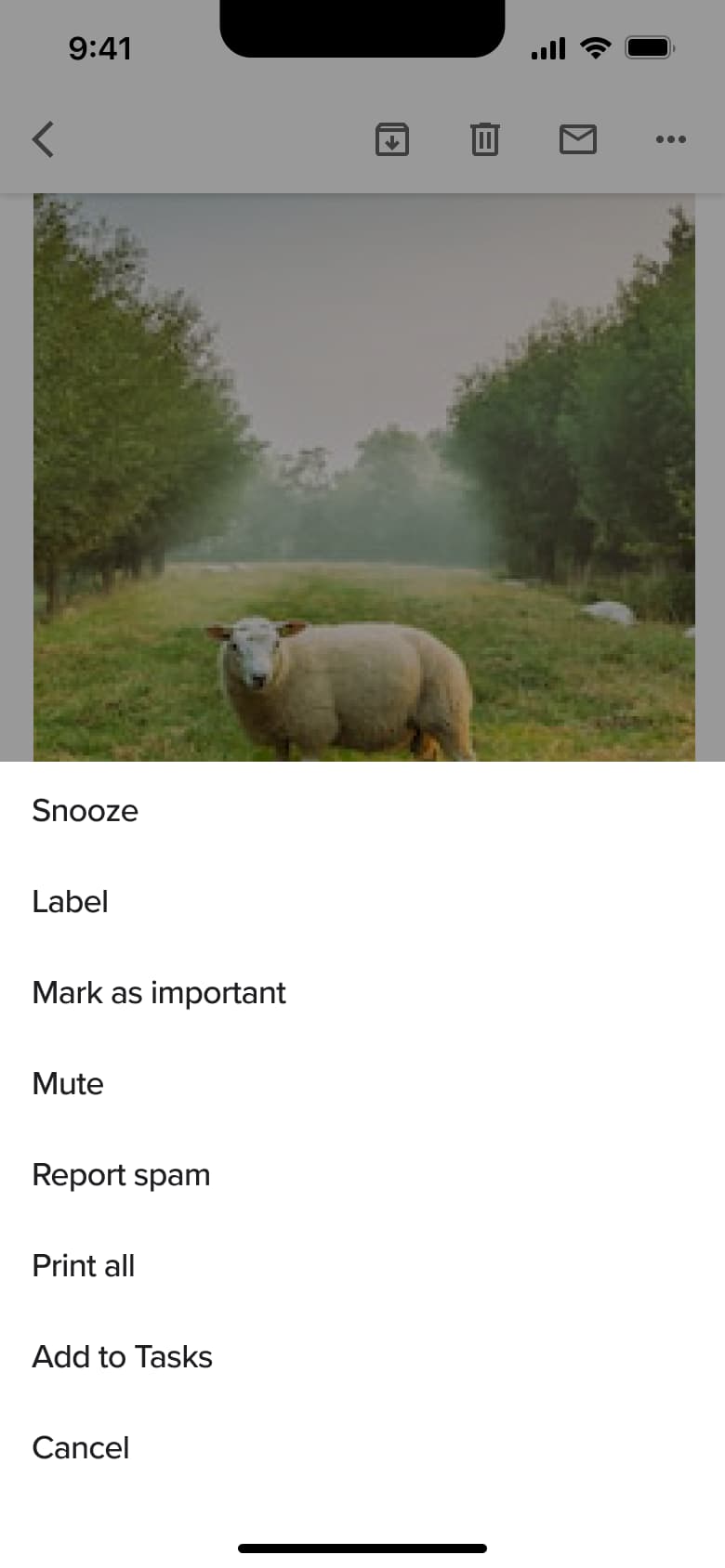 Email actions sheet over photo email.