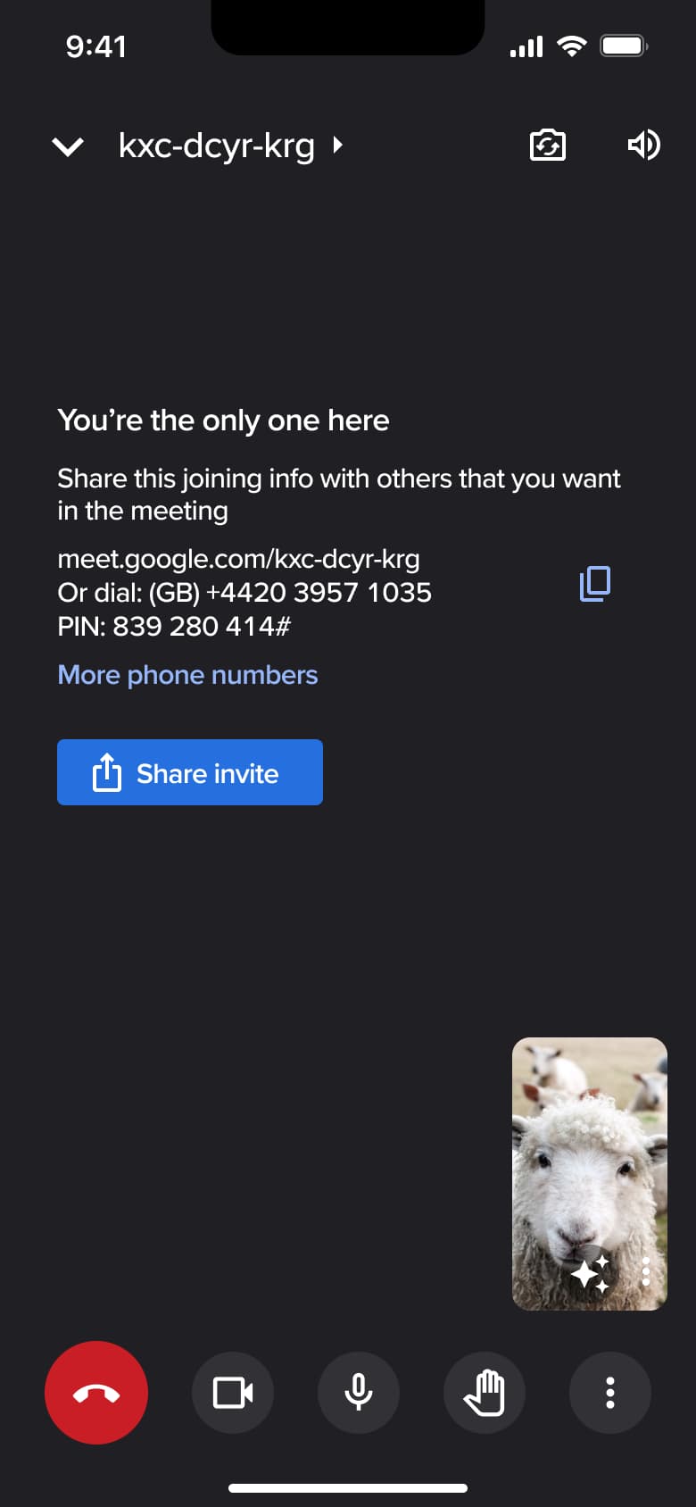 In-call screen with self view.