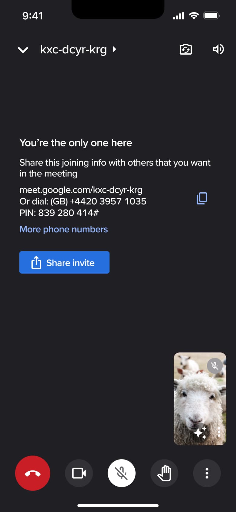In-call with microphone muted.