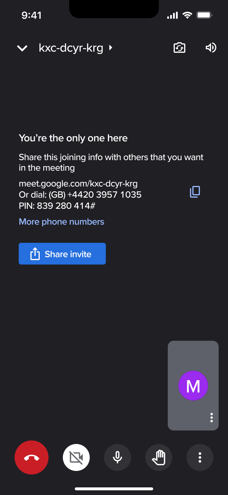 In-call with camera off.