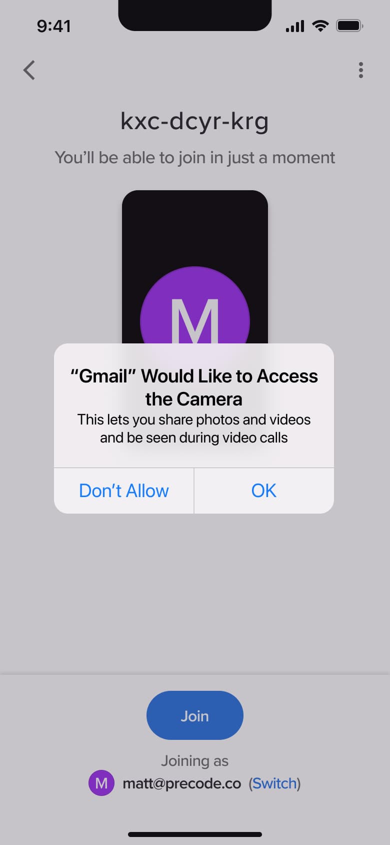 Camera access alert on meeting preview.