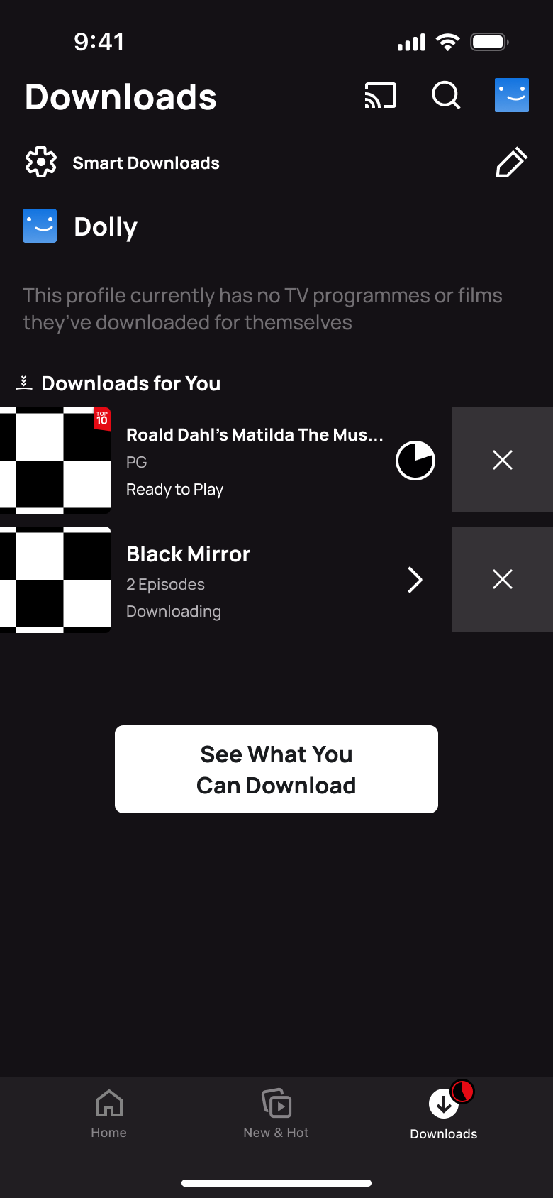 Edit downloads: Matilda and Black Mirror with remove buttons.