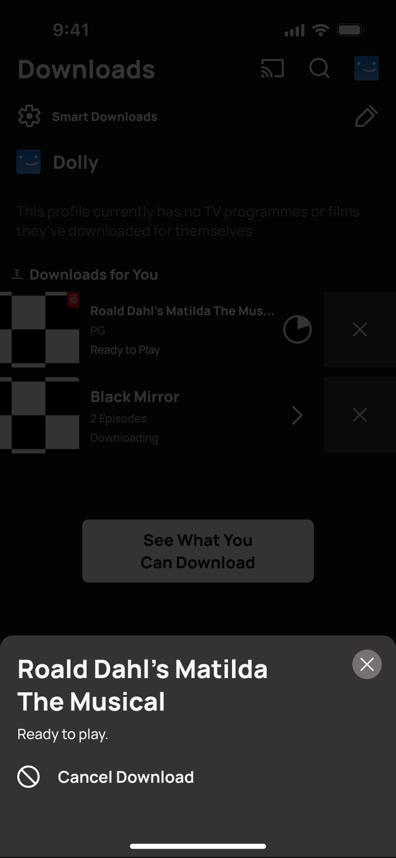 Matilda download sheet: ready to play, cancel download.