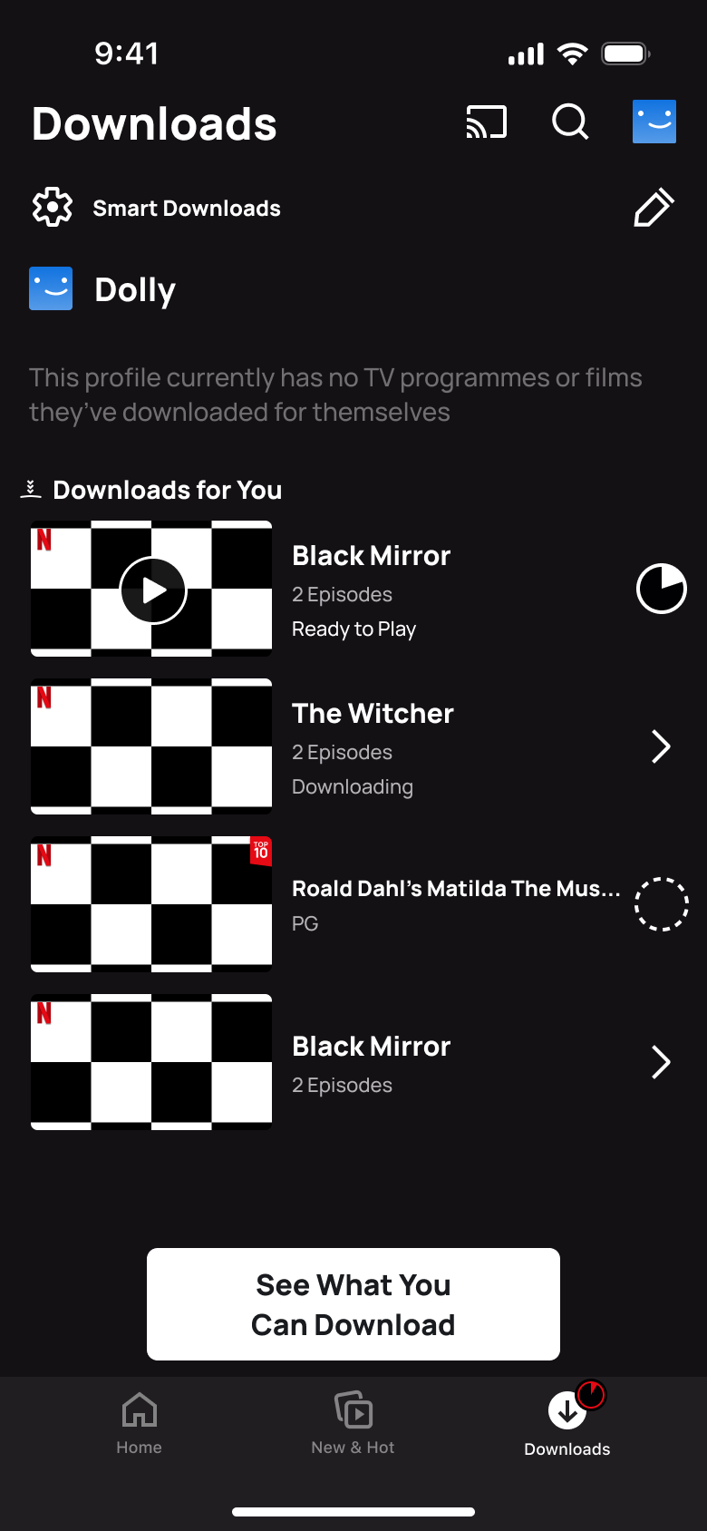 Black Mirror ready to play, The Witcher downloading, Matilda queued.