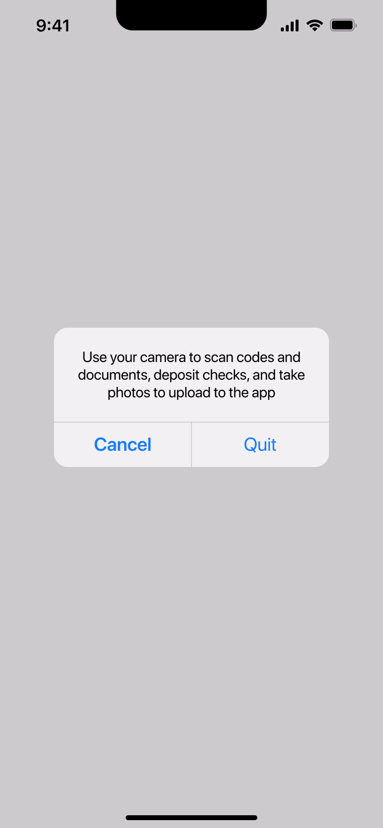 Camera use alert for scanning documents and codes.