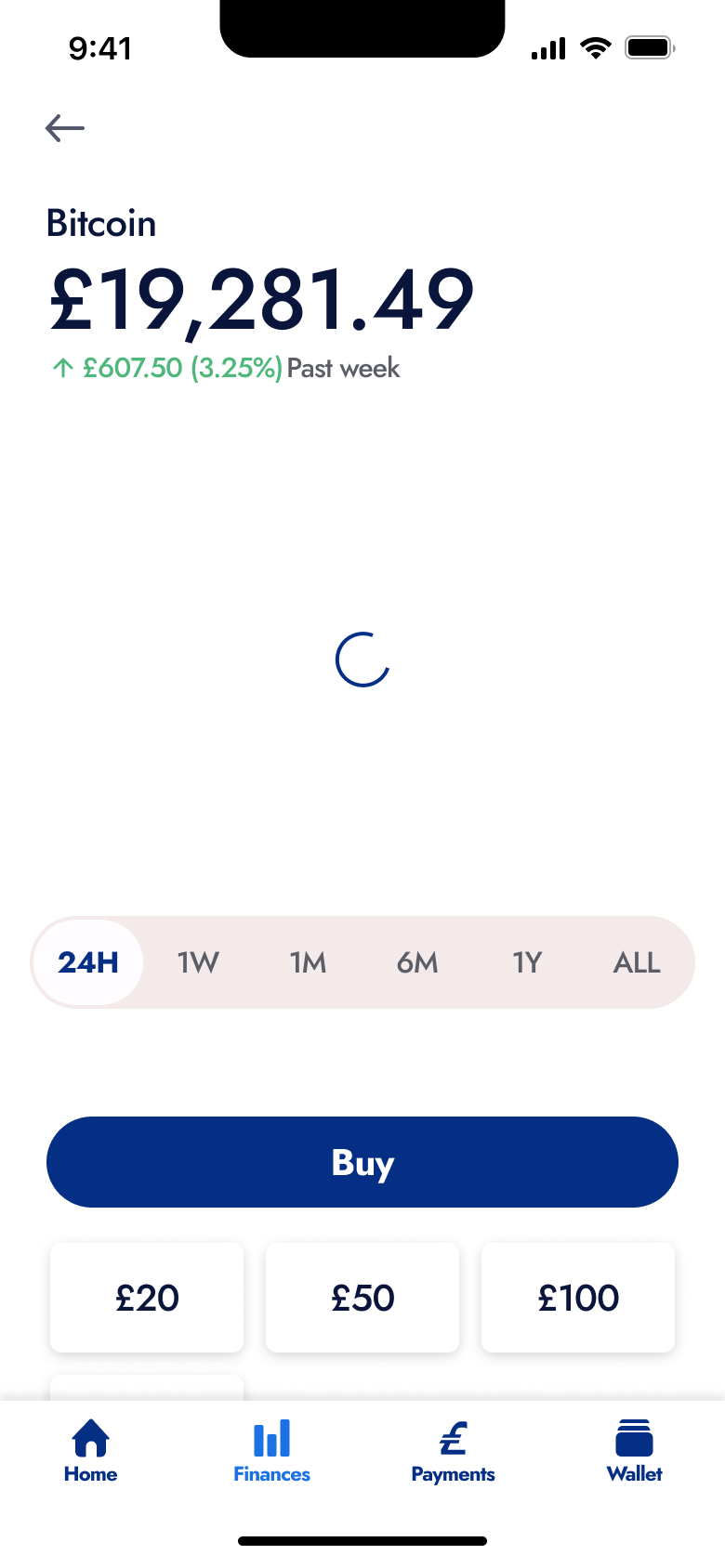Crypto price page with chart loading.