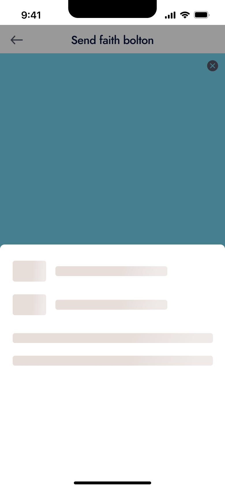 Payment type sheet loading over send screen.
