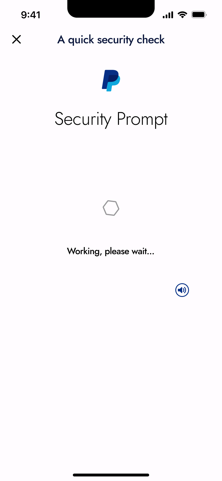Security check working with spinner.