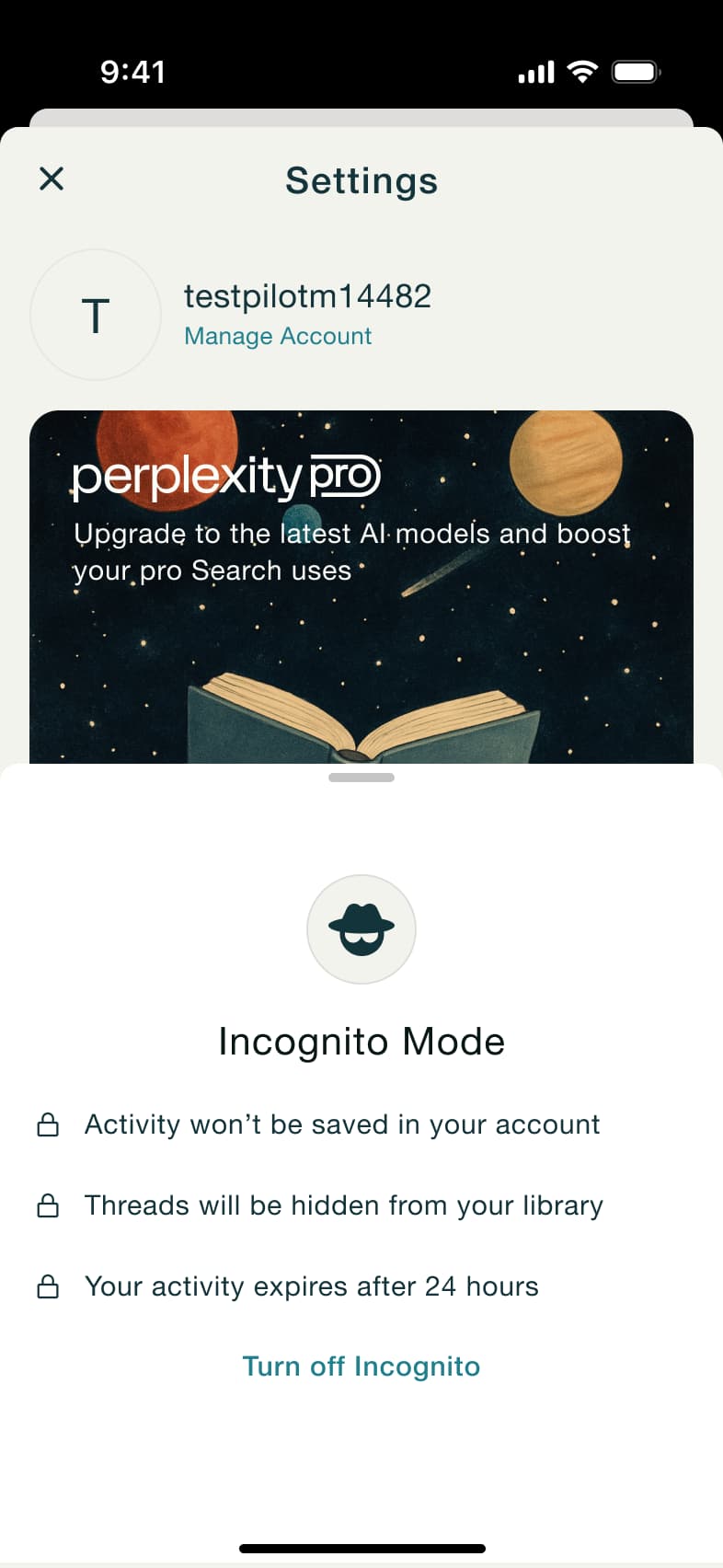 Incognito mode sheet: not saved, hidden and expires, turn off.