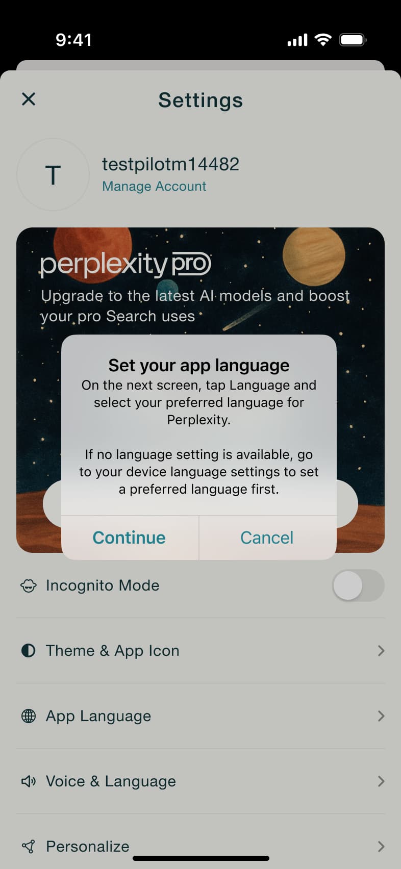 Set your app language dialog: continue or cancel.