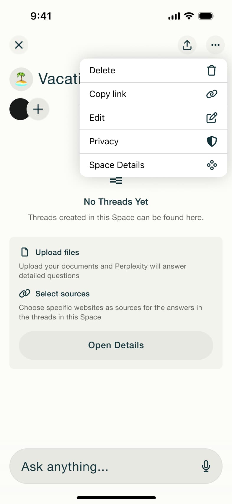 Space menu: delete, copy link, edit, privacy and details.