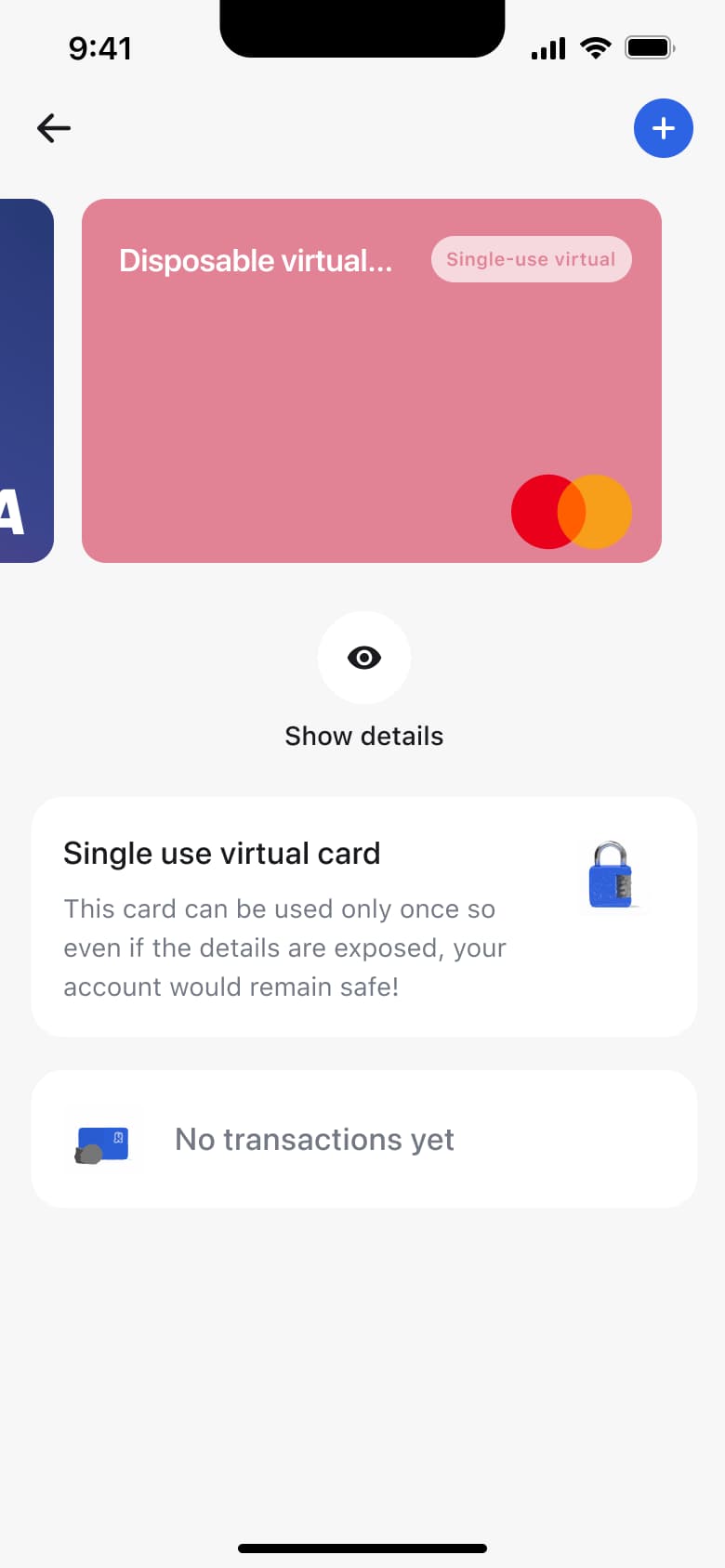 Disposable virtual card detail with single-use explanation and no transactions.