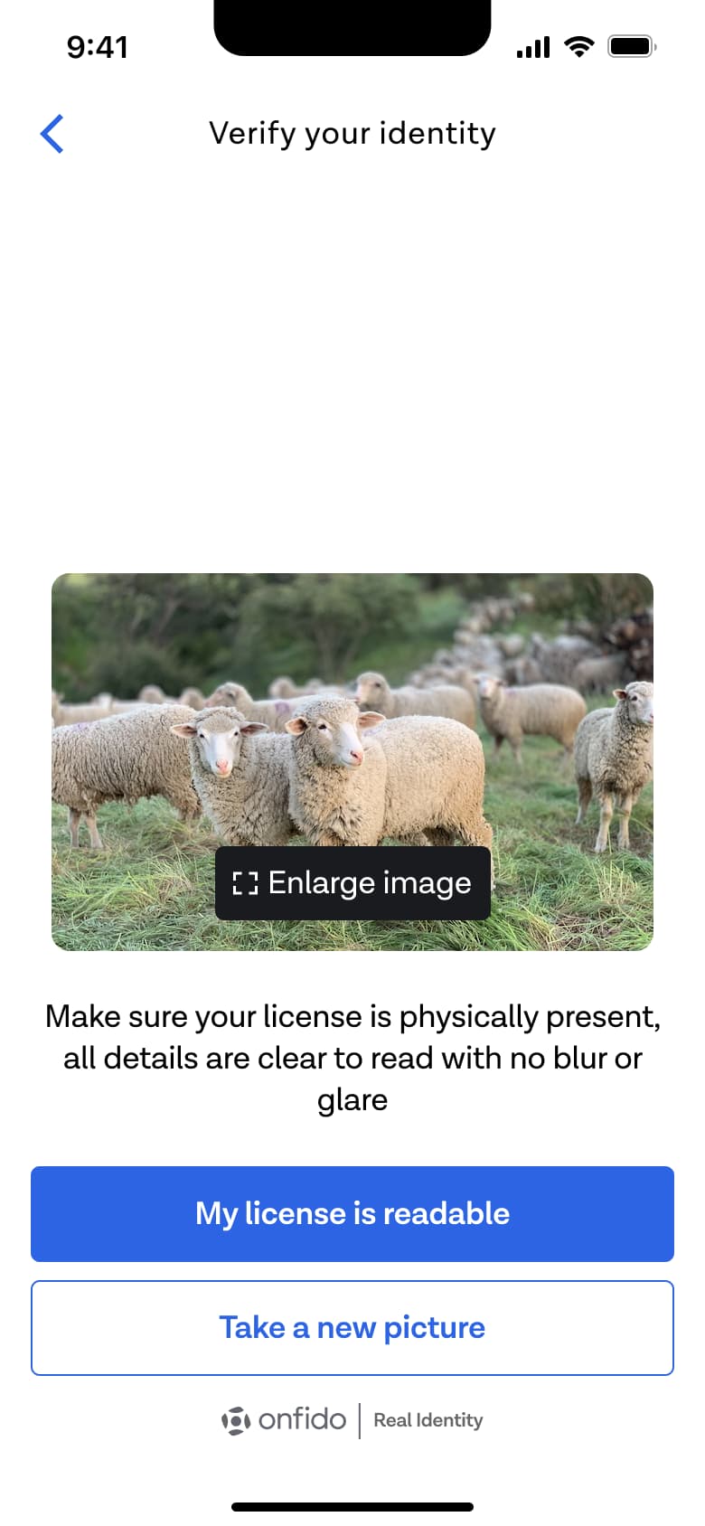 Verify your identity: review licence photo is readable or take a new picture.