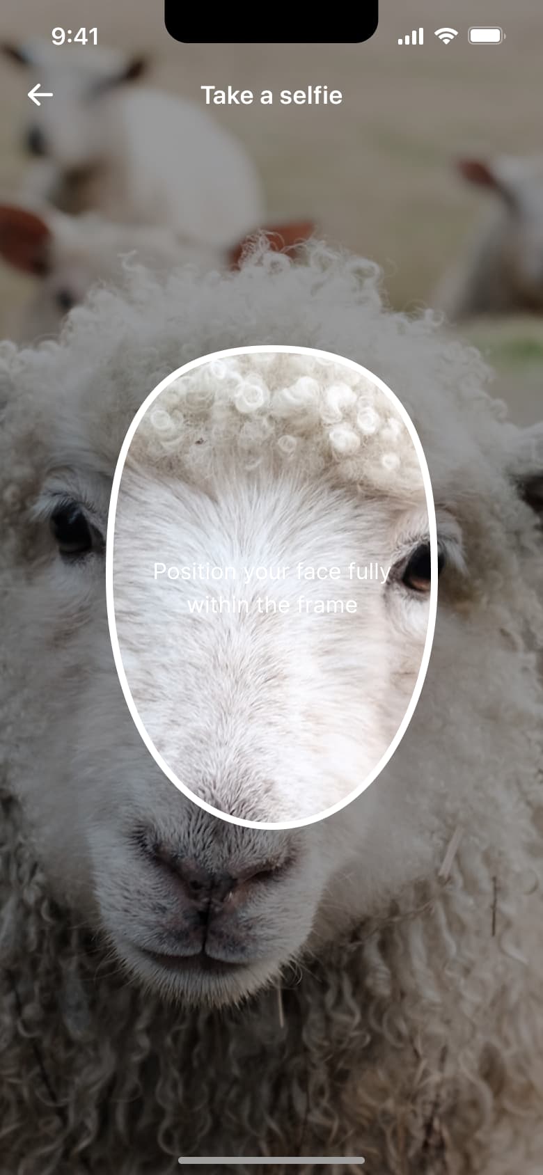 Take a selfie camera view with oval face guide.