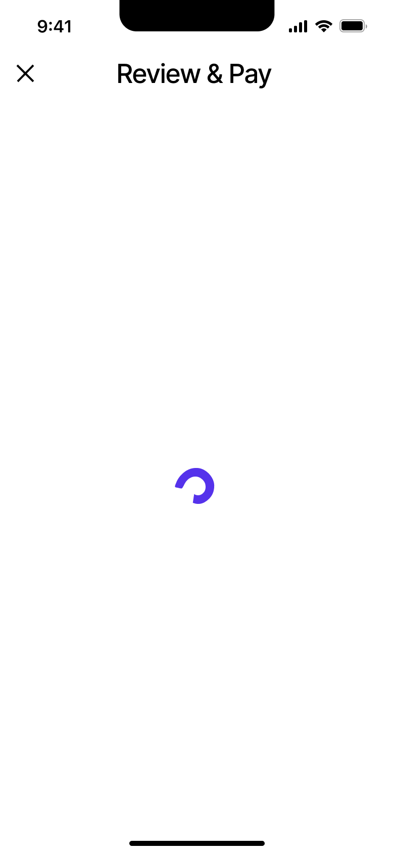 Review and pay loading spinner.