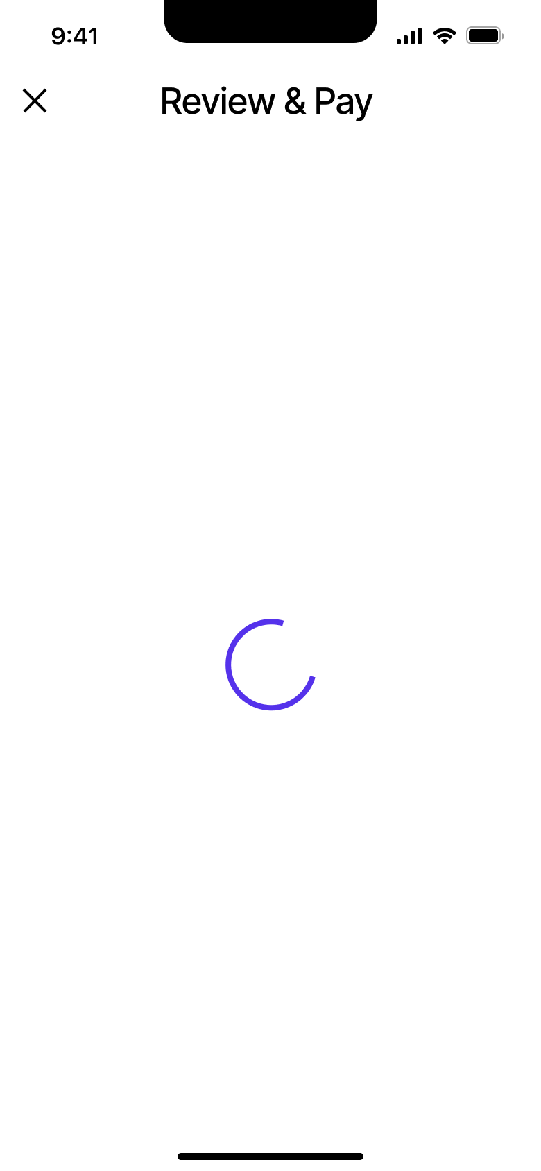 Review and pay loading spinner.