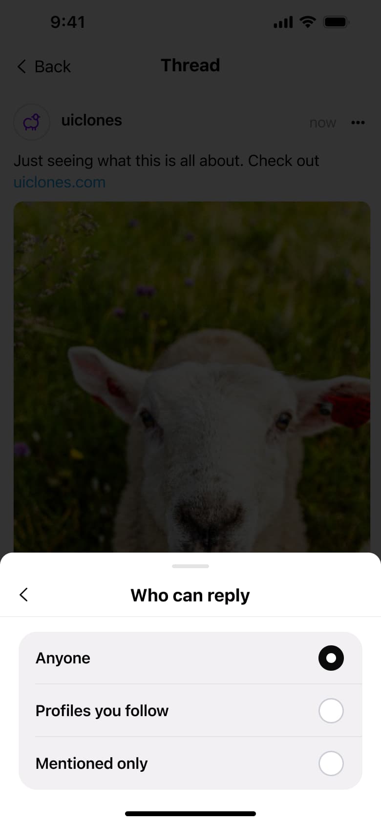 Who can reply: anyone, profiles you follow or mentioned only.