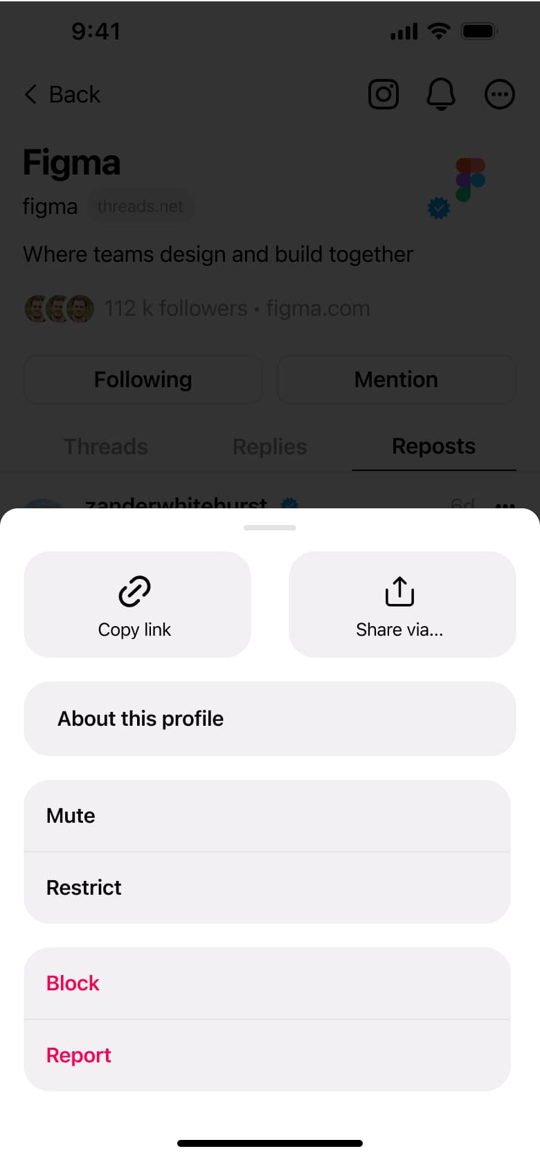 Profile actions: copy link, share, about, mute, restrict, block and report.