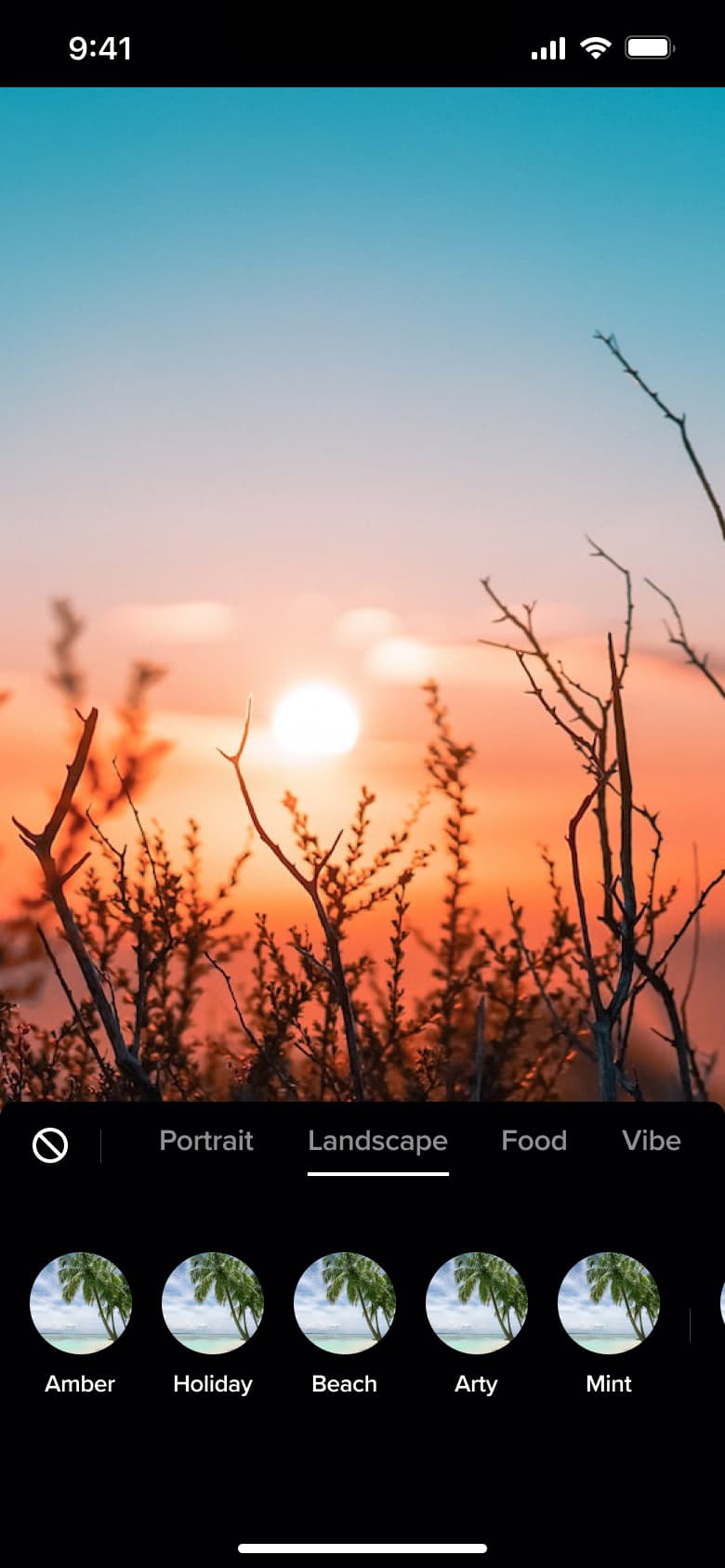 Landscape filter category with filter thumbnails.