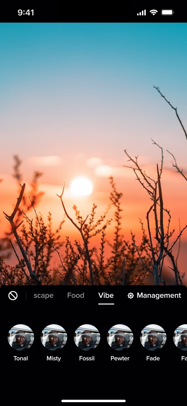 Vibe filter category with management link.