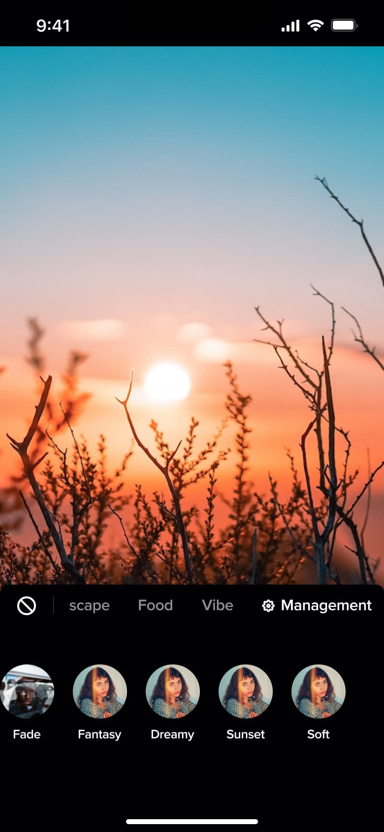 Filter applied with intensity slider.