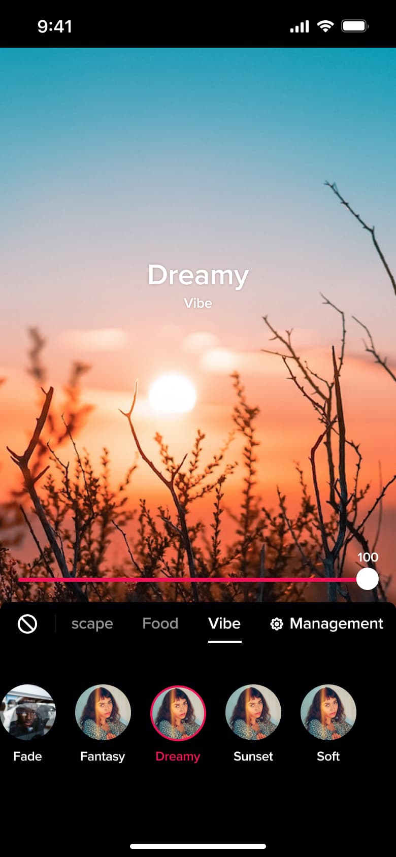 Dreamy filter selected with name overlay.