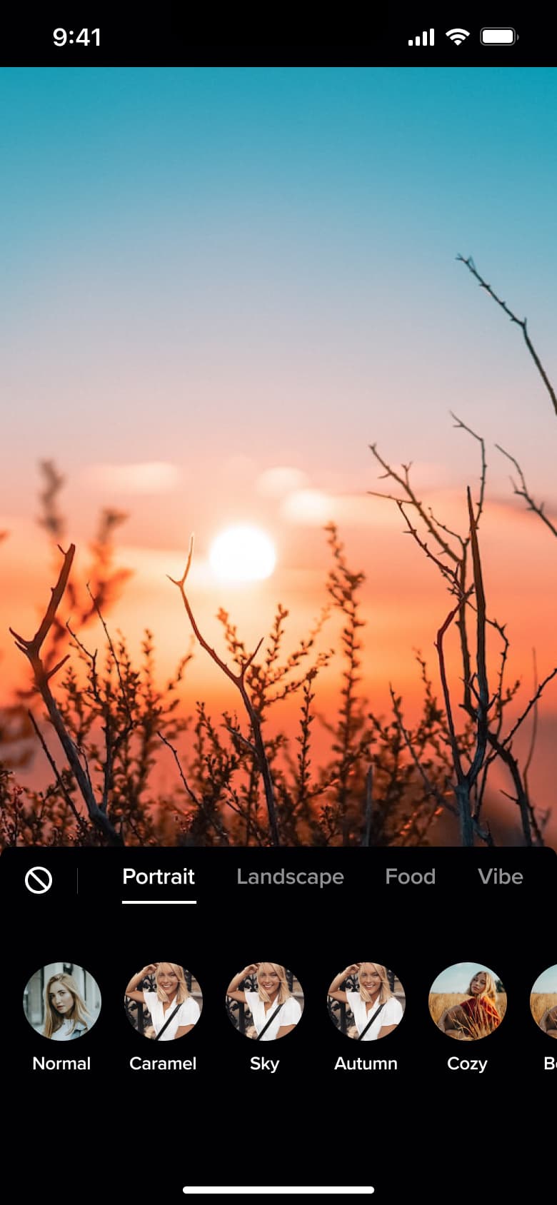 Portrait filter category selected.