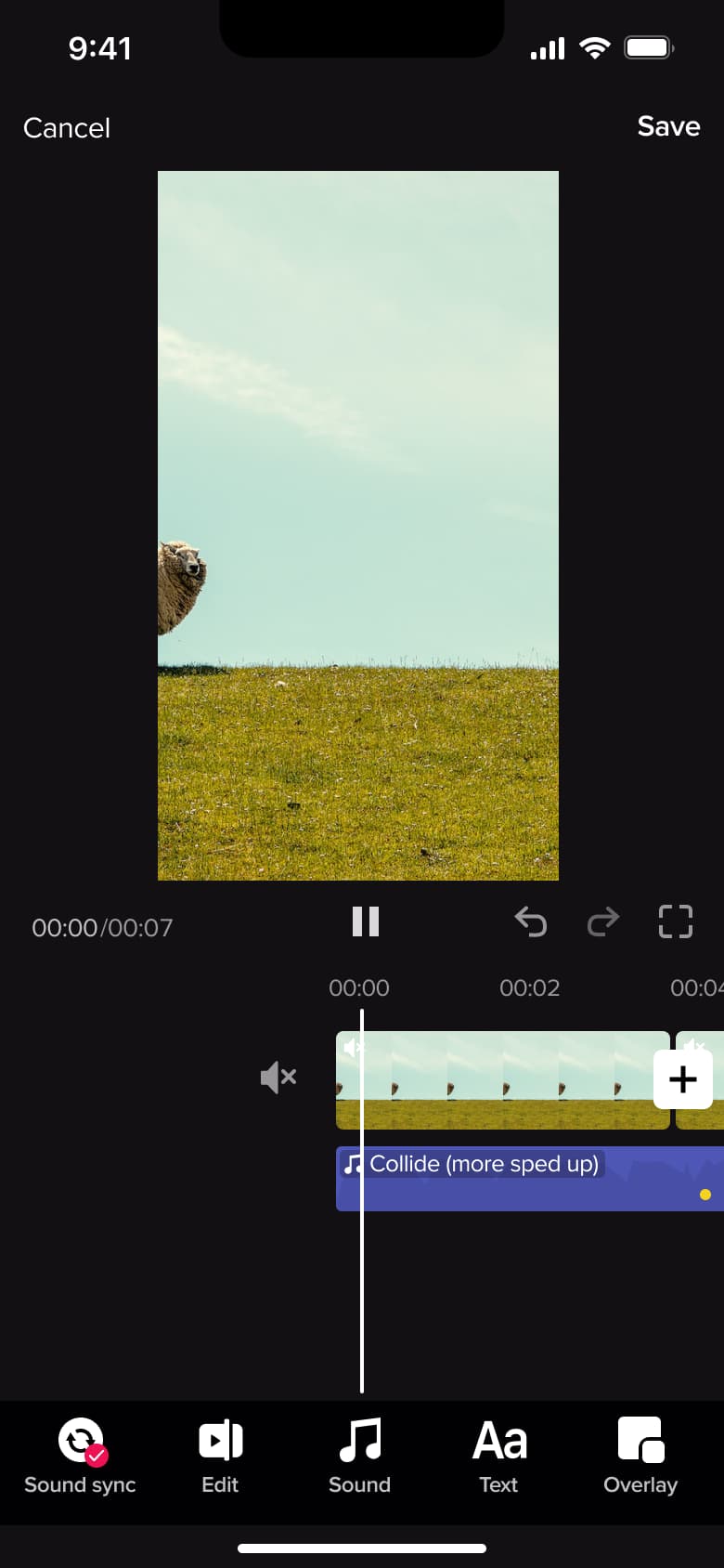 Video editor with sound track added under the clip timeline.
