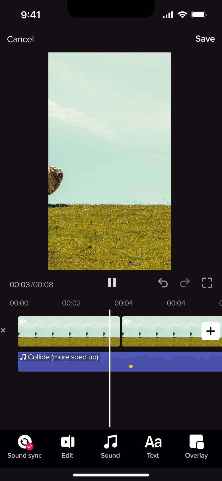 Video editor with sound sync, edit, sound, text and overlay tools.