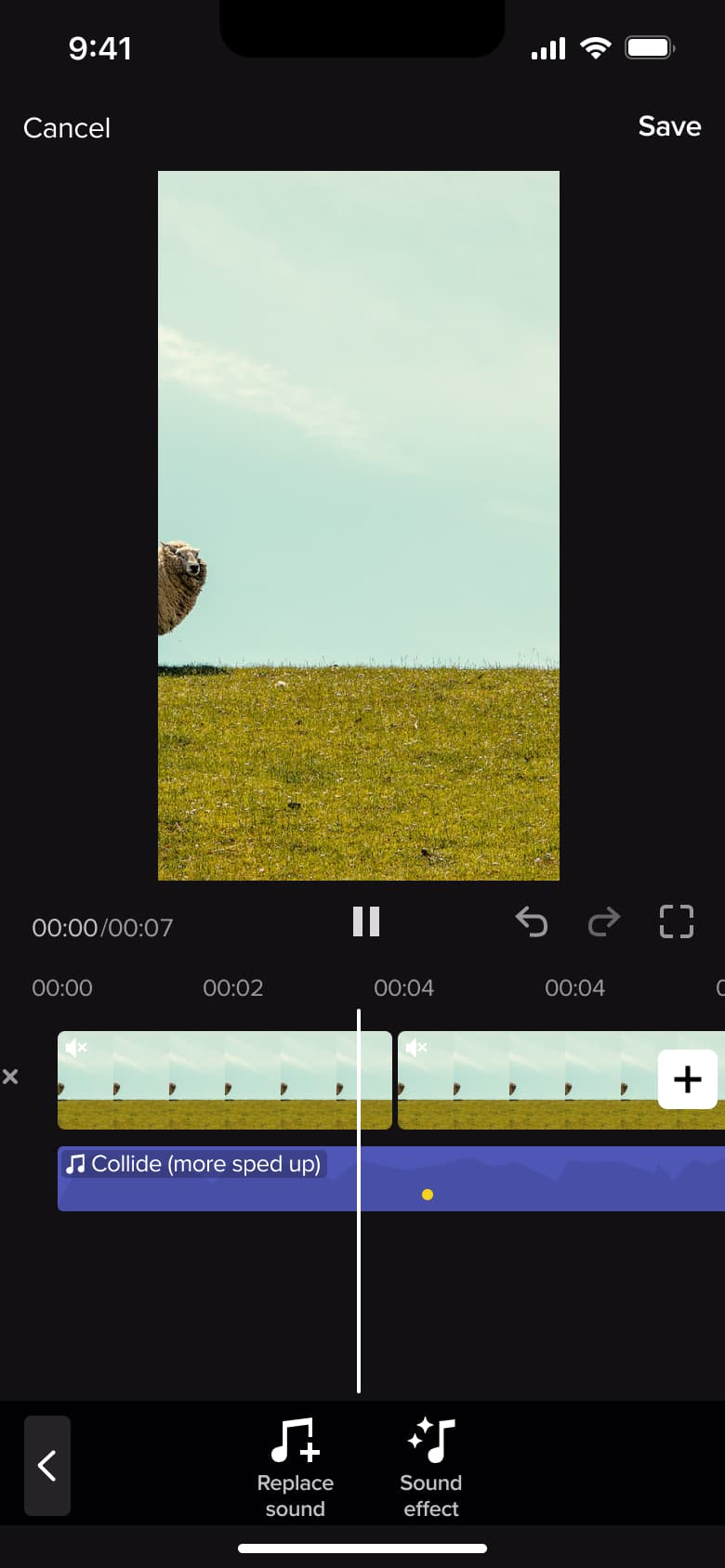 Sound track selected with replace sound and sound effect tools.