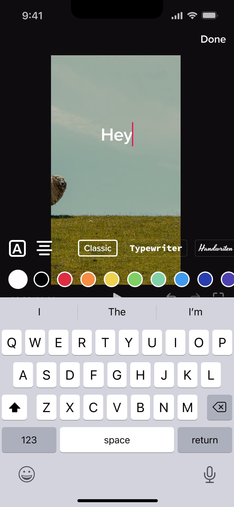 Text typed on the video preview.