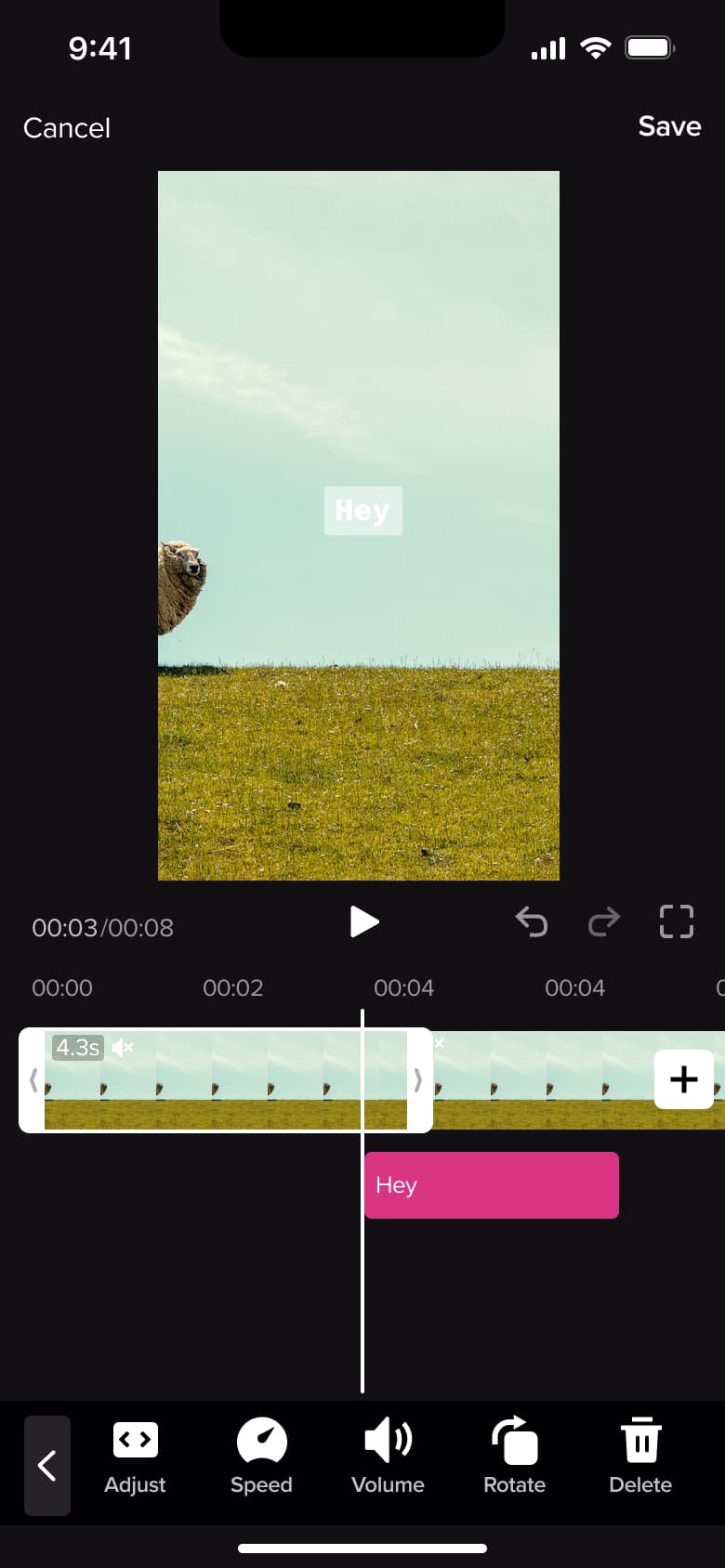 Timeline with text overlay track and adjust, speed, volume, rotate and delete tools.