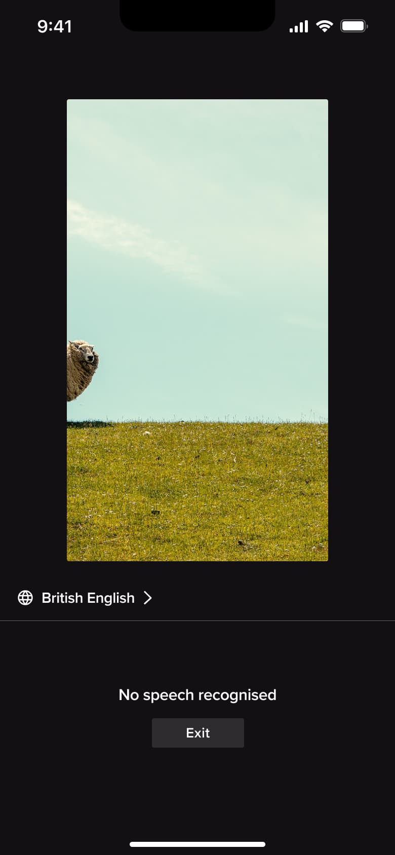 Auto captions: no speech recognised, with exit button.