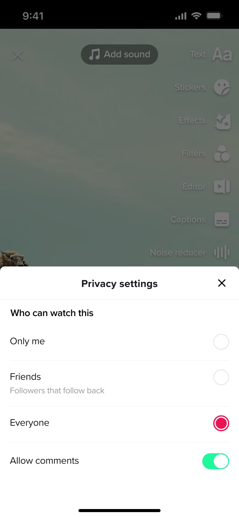 Privacy settings sheet: who can watch and allow comments.