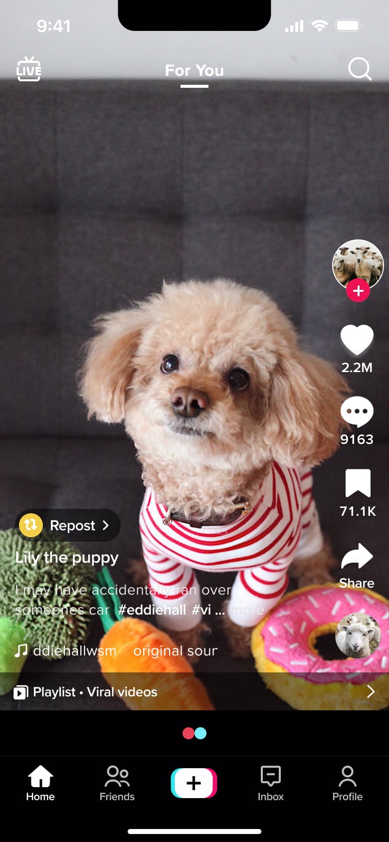Feed video loading next item with dots.
