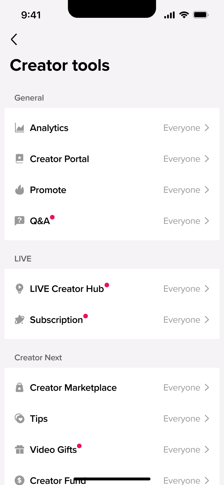 TikTok flow, step 1: settings 1