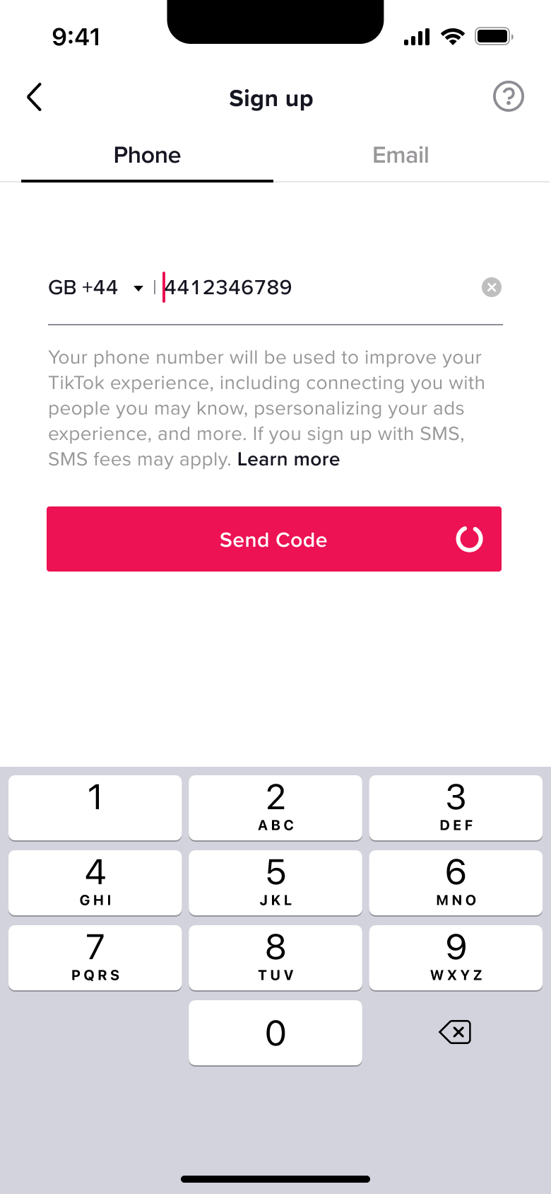 Send code tapped with loading spinner on the button.