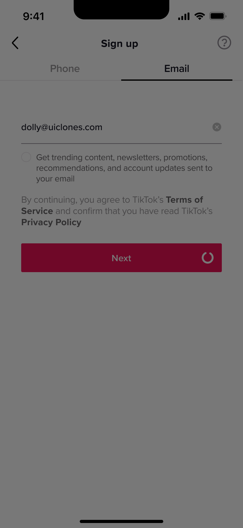 Dimmed sign up form while a verification check loads.