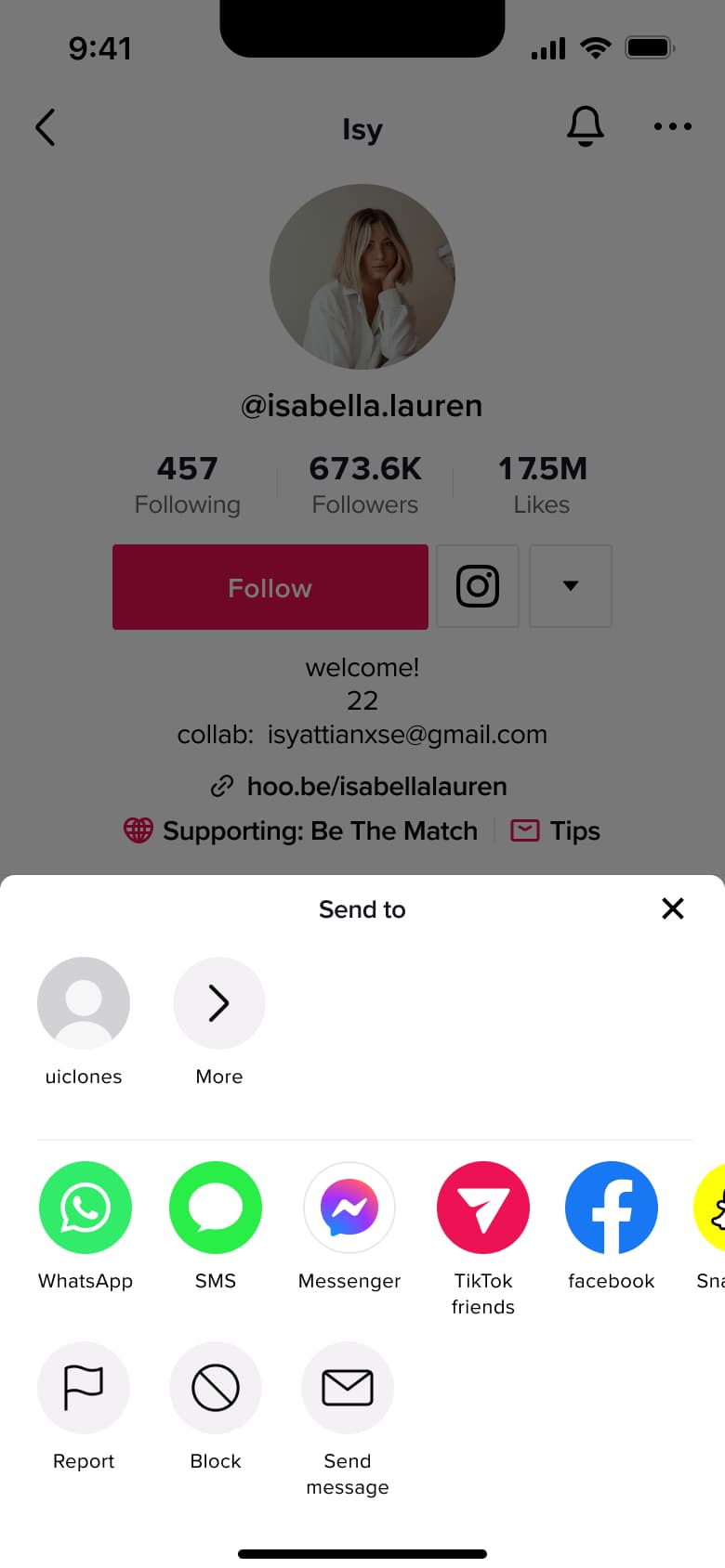 Send to sheet over a profile: contacts, apps, report, block and message.